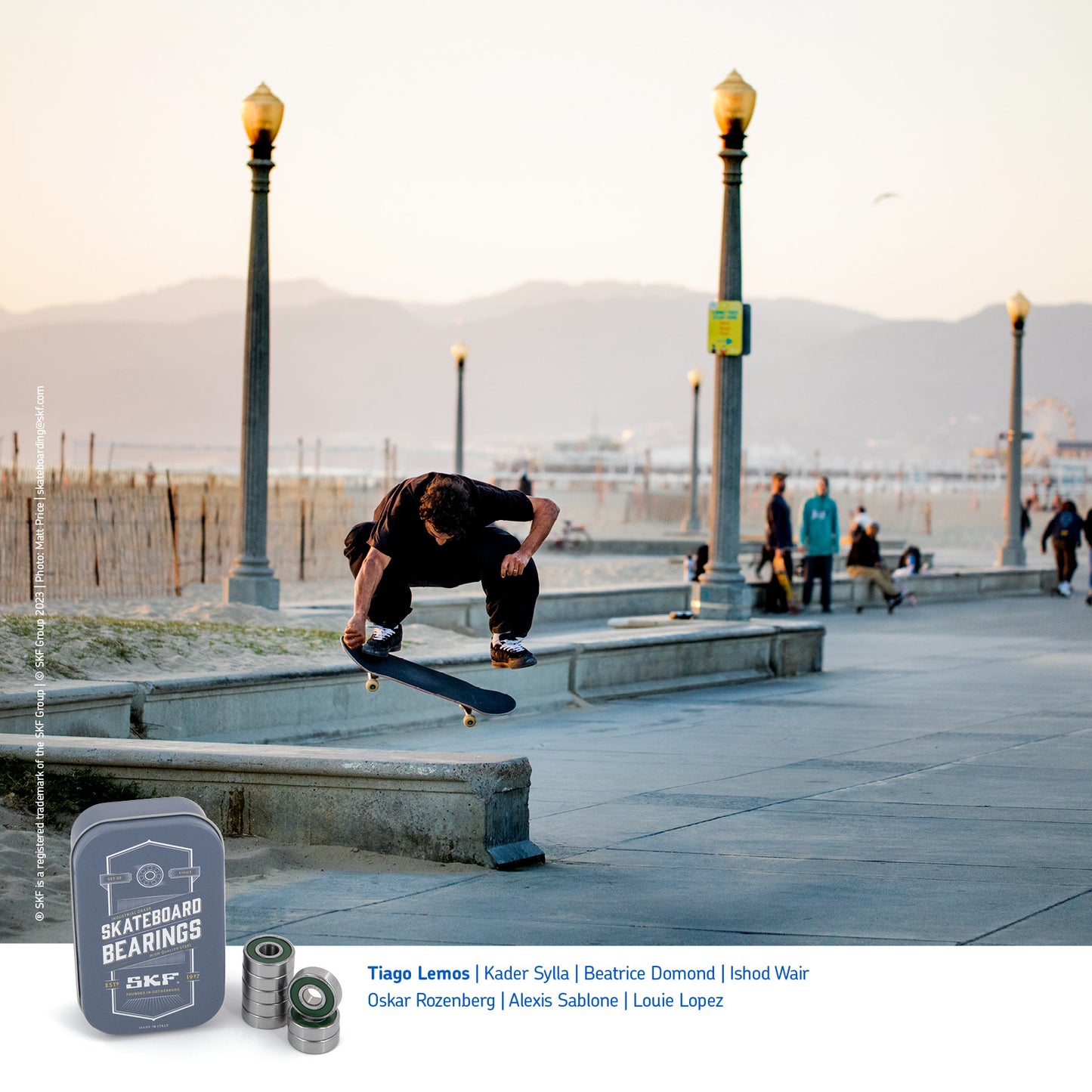 SKF Bearings