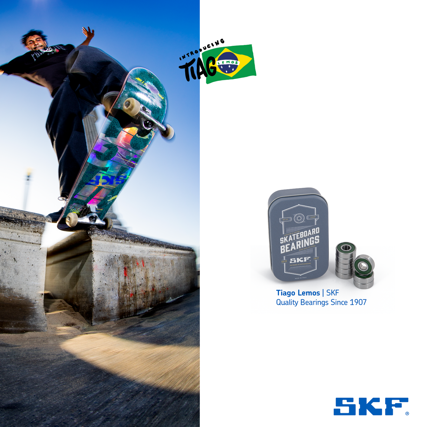 SKF Bearings